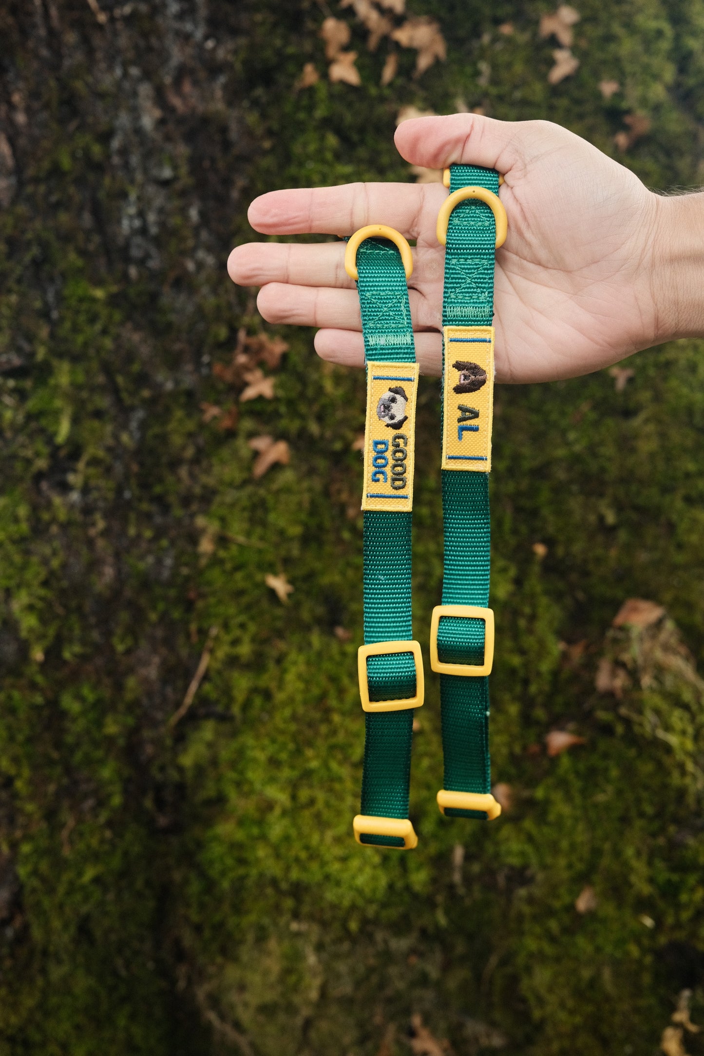 Personalised Collar - Emerald Green