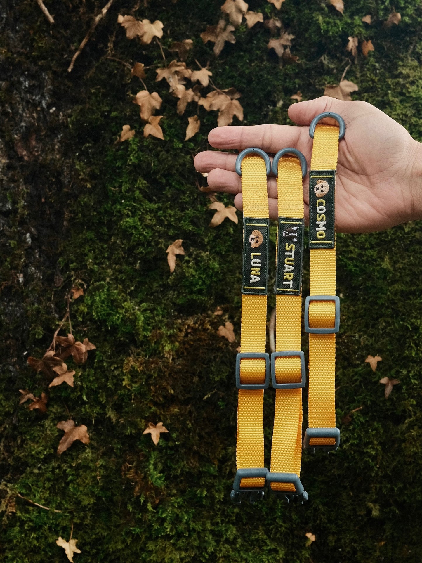 Personalised Collar - Sunshine Yellow