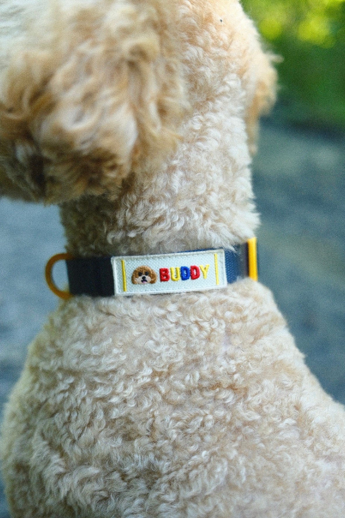 Personalised Collar - Ocean Blue