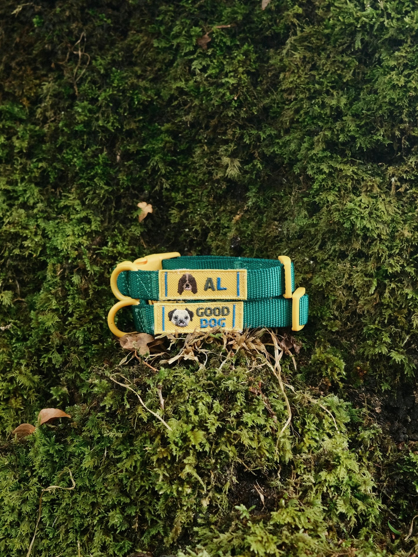 Personalised Collar - Emerald Green
