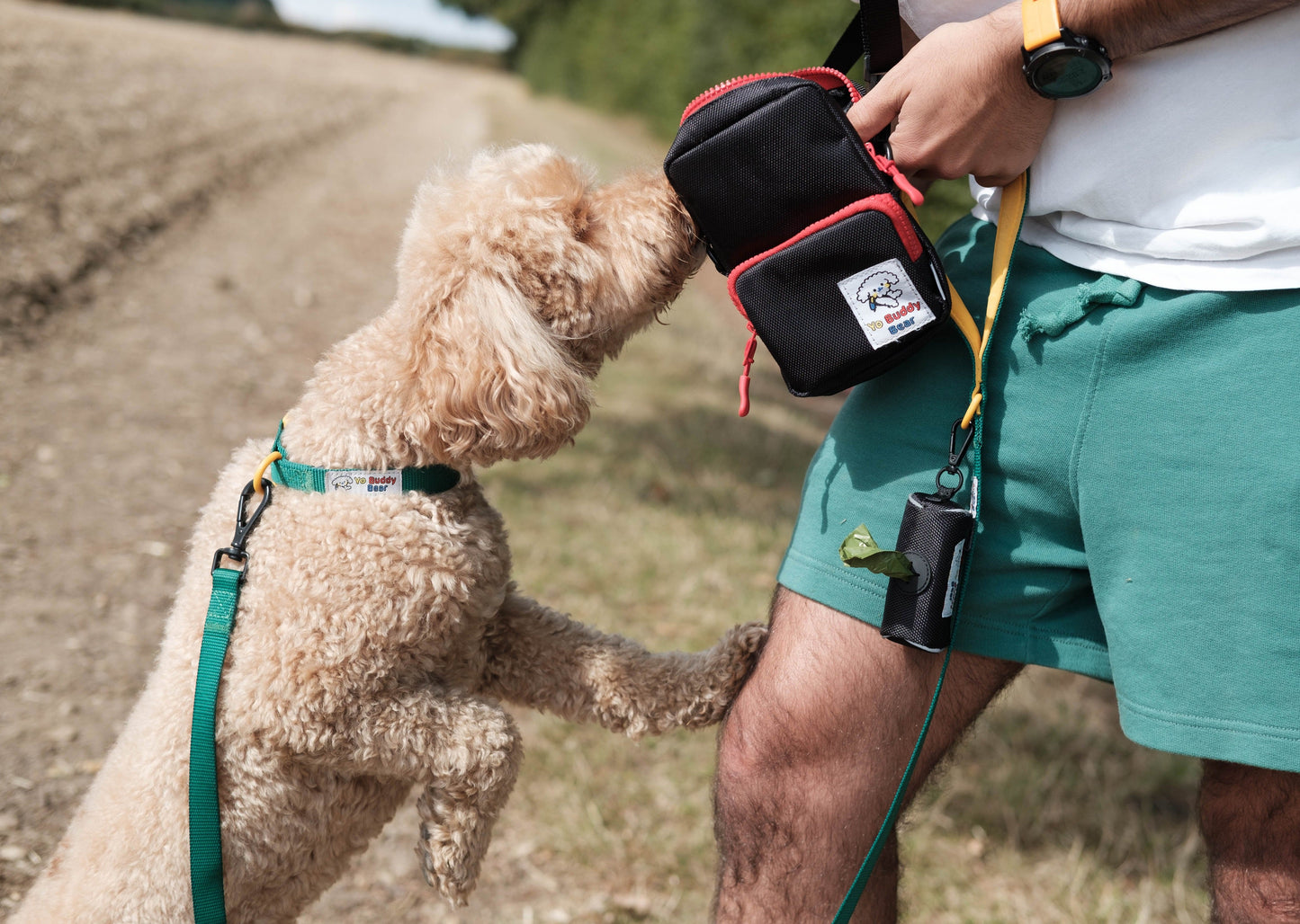 YBB Classic Lead - Emerald Green