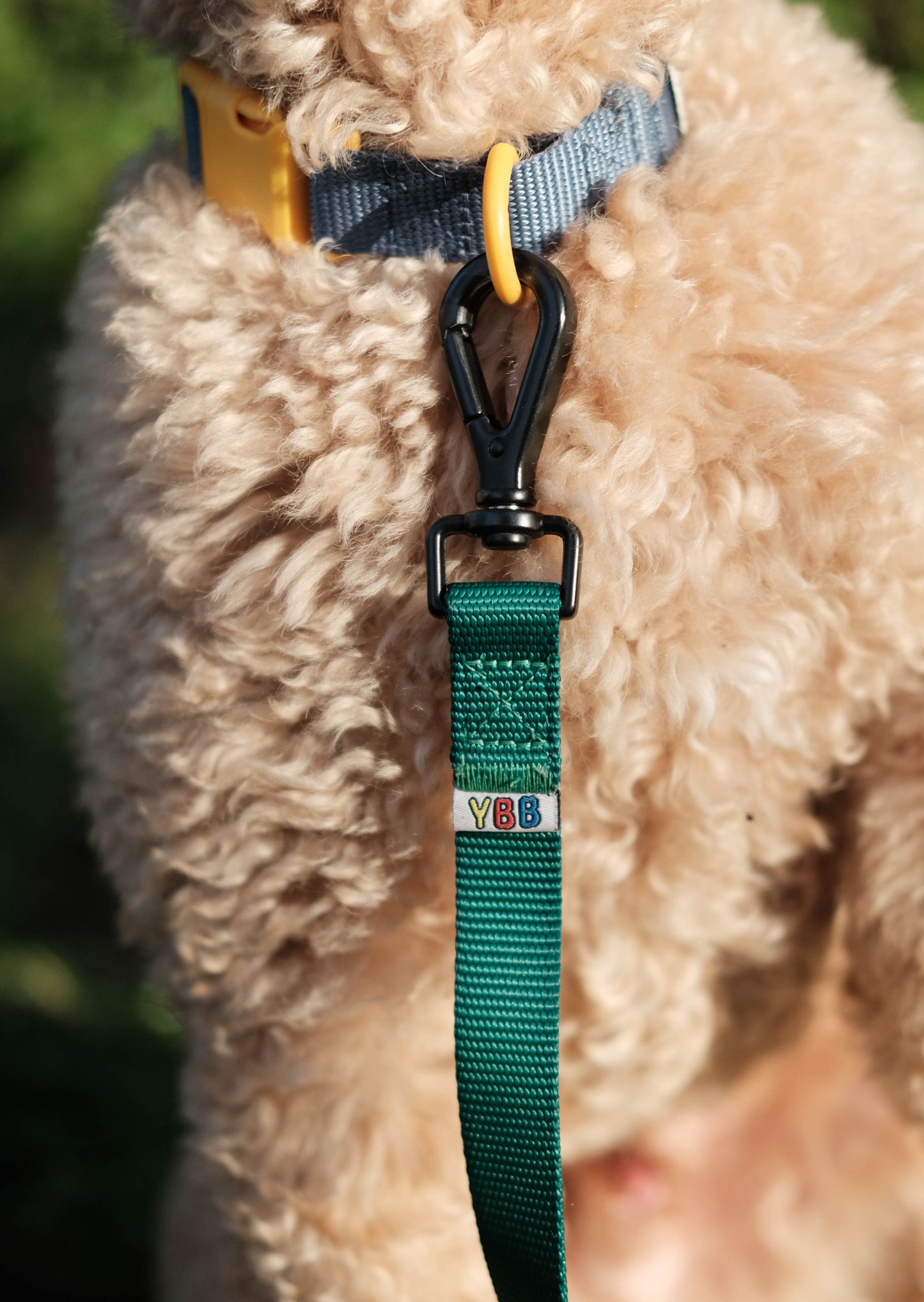 YBB Classic Lead - Emerald Green