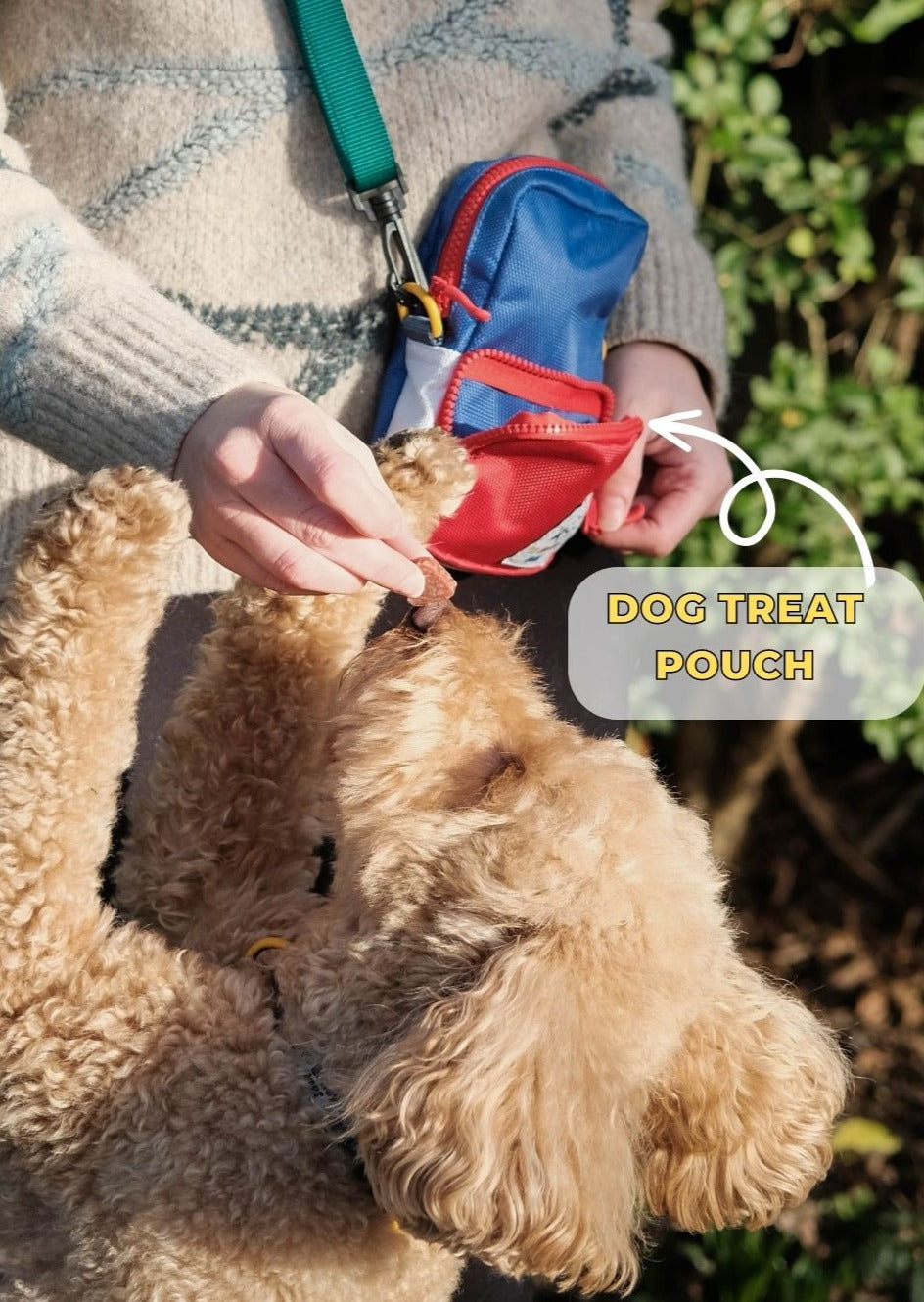 YBB Dog Walking Bag - Red, Blue & White