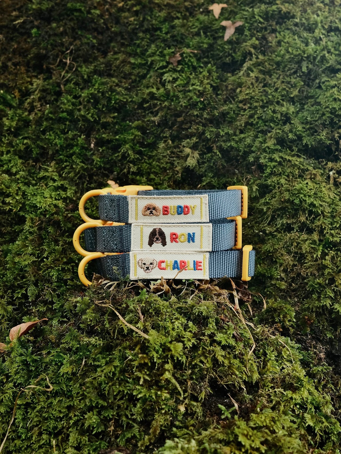 Personalised Collar - Fully Customisable