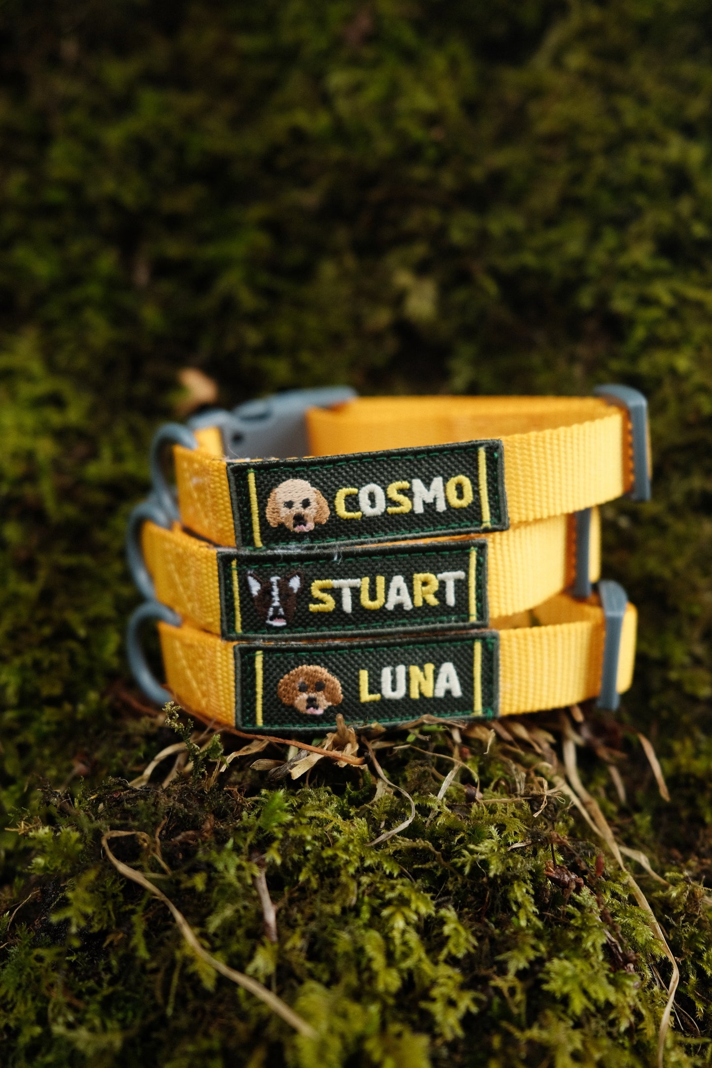 Personalised Collar - Fully Customisable